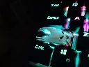 IMG20251202191313.webp