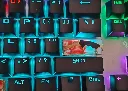 5949680906979184065.webp